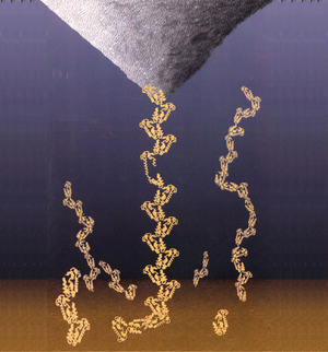 Protein unfolding cartoon